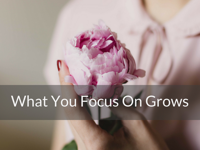 What You Focus On Grows